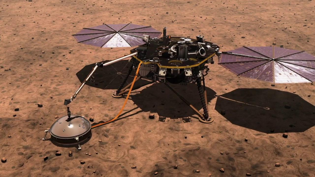 Lander Insight