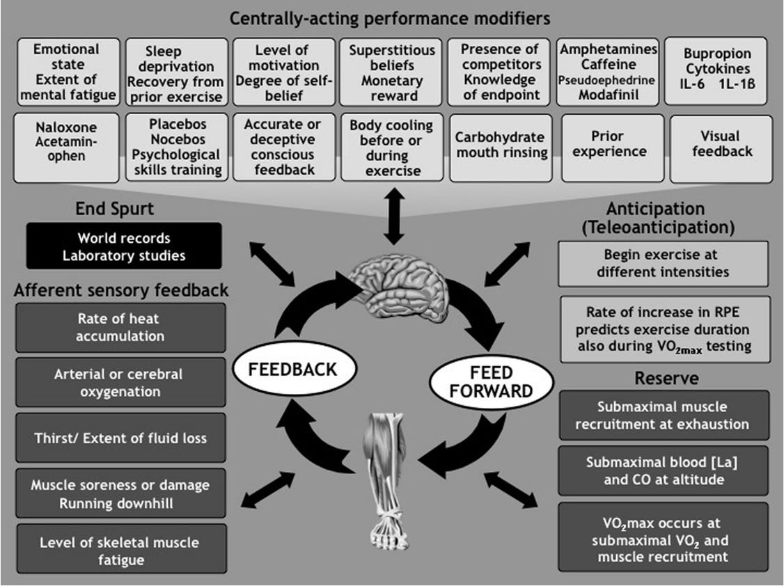 T. Noakes (from https://thenoakesfoundation.org)